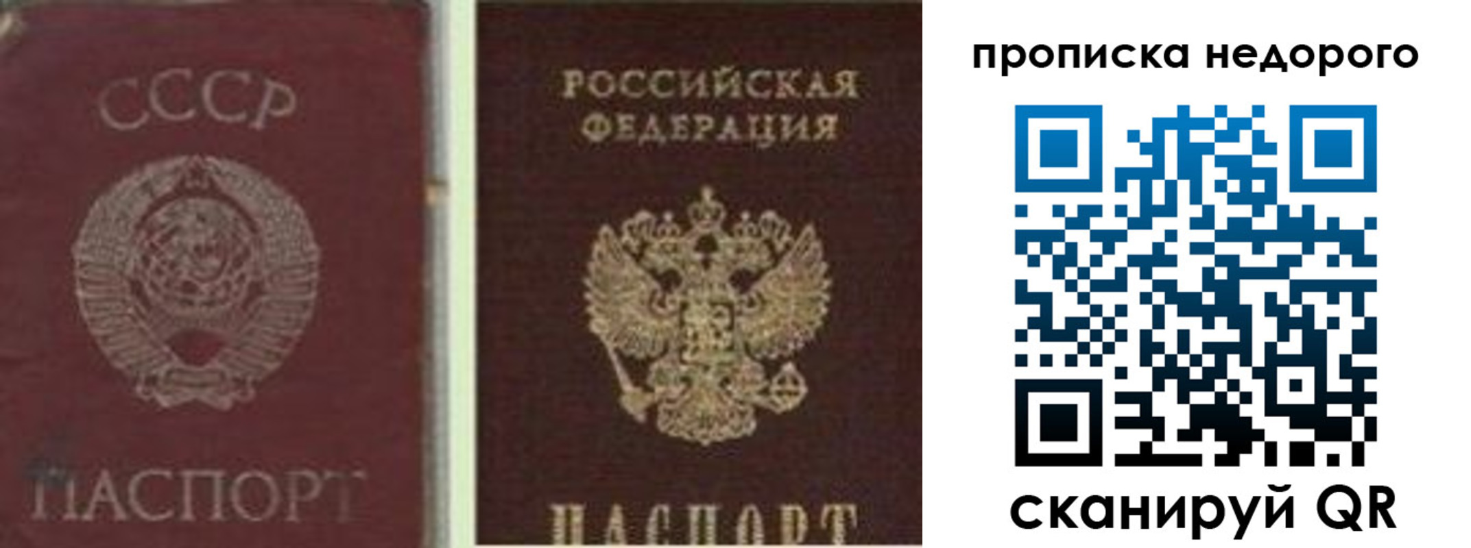 временная регистрация поиск в Заинске